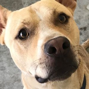 Meet your Posher, Maia